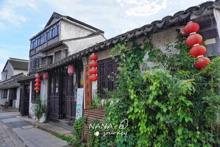 三亚海域发现剧毒僧帽水母? 官方:系蓝瓶僧帽水母 毒性较小